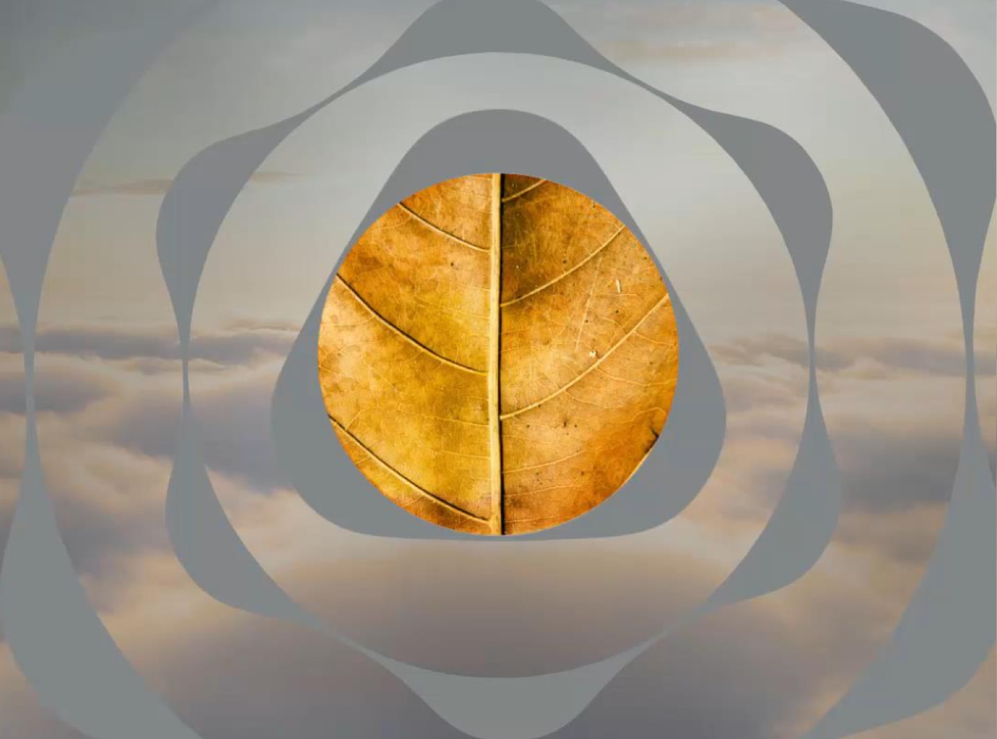 An illustration of a tobacco leaf.